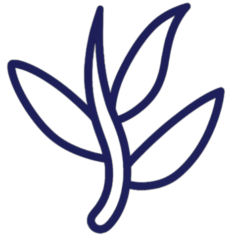 L-Theanin